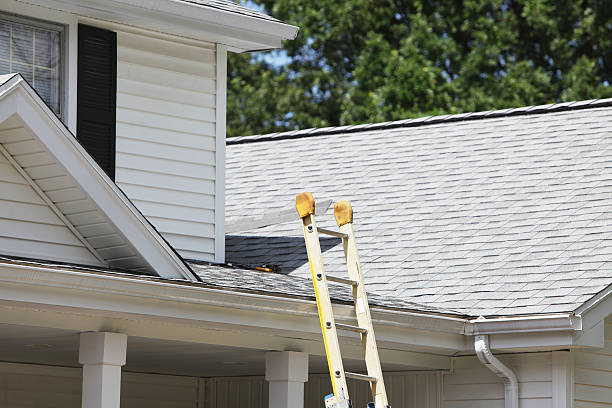 Professional Siding Installation in Northbrook, IL