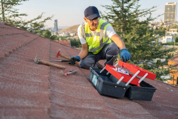 Best Fascia and Soffit Installation  in Northbrook, IL