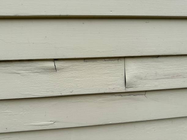 Best Vinyl Siding Installation  in Northbrook, IL